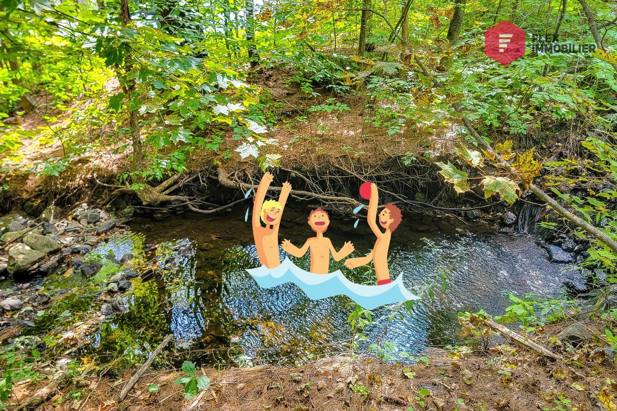 L'Arbre De La Montagne Orford - Ski Hiking Bicking Golf Beaches Magog Bagian luar foto